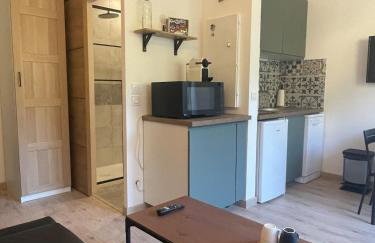Le Myrose au pied des pistes - Les Angles - Foto 7