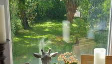 La maison d'Aude - Foto 3