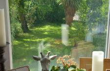 La maison d'Aude - Foto 3