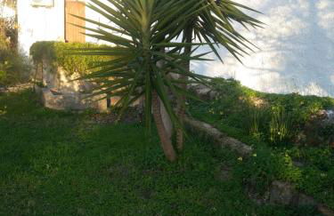 Villa Margherita - Foto 18