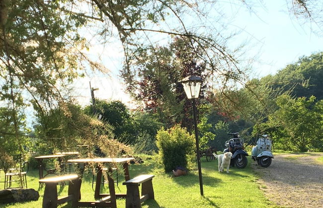 Agriturismo La Casina della Burraia - Photo 47