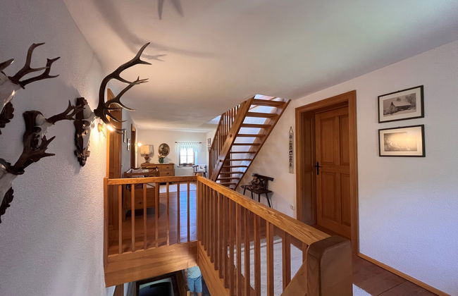 Lehner im Wald - Foto 14