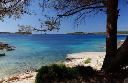 Apartments Doro - Foto 18