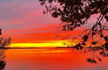 Mare i Kate Apartmani - Foto 51