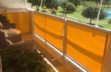 Hortensias de jardín - Photo 15