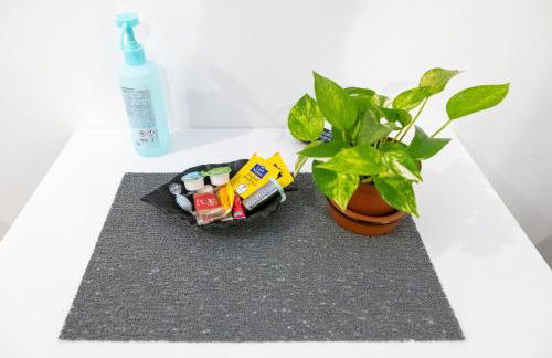 Studianzin - Foto 27