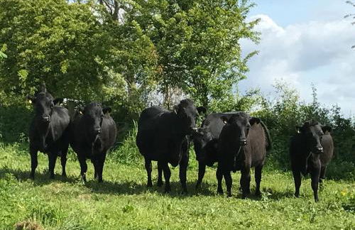 The Hay Loft Southlands Farm - Foto 61