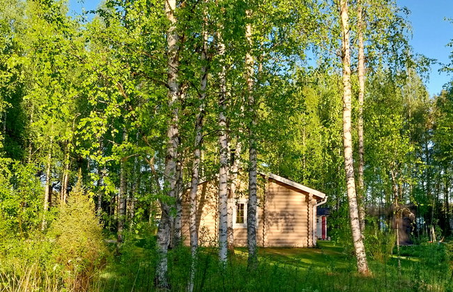Kesäniitty - Foto 1
