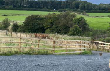 Firth View 2 - Country Escape with Sea Views of Arran! - Foto 9