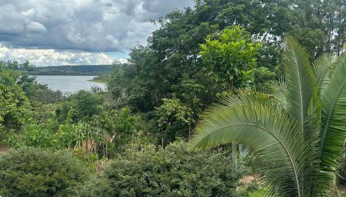 Casa Ipê Amarelo - Foto 4