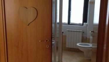 Le palme Antonella - Foto 3