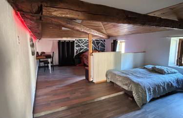 Le loft Mansardé - Foto 1