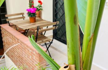 Lavica Di Mezzo Apartments - Foto 55