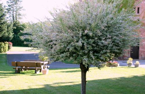 Ferienwohnung Atrium - Foto 42