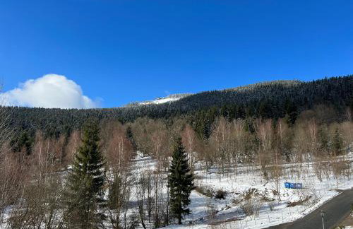 Apartament Czarna Góra - Resort - Solden - Sienna - Foto 14