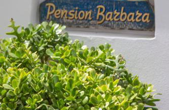 Pension Barbara - Foto 48