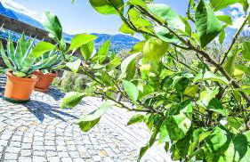 Tschott Hof - Foto 31