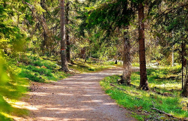 6 Person Holiday Home in Ekero-by Traum - Photo 21