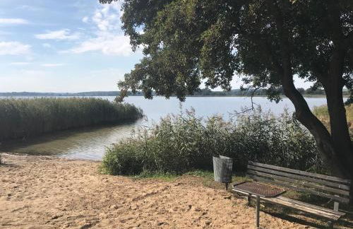 Ferienwohnung in der Uckermark am Oberuckersee OT Warnitz - Photo 21
