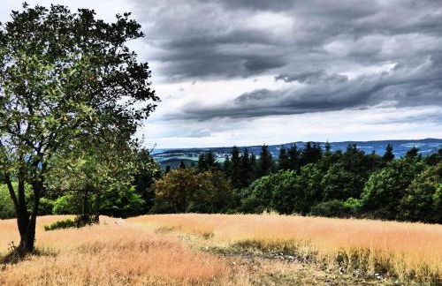 Relaxen am Eifelbach - Foto 15
