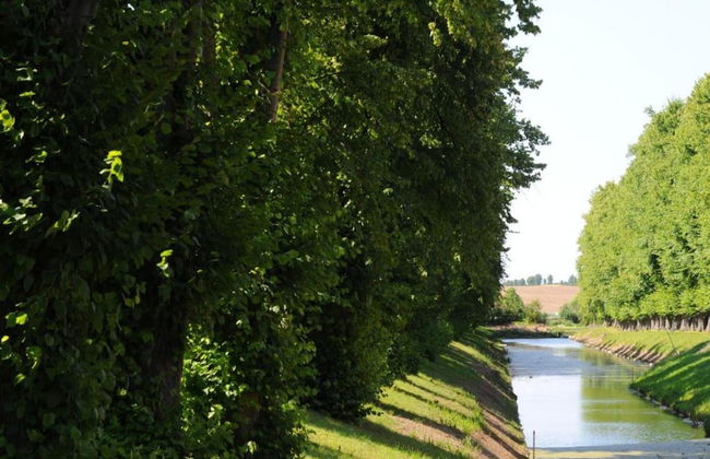 Ruhiges Appartement in Strandnaehe in Wohlenberg, Deutschland - Foto 61