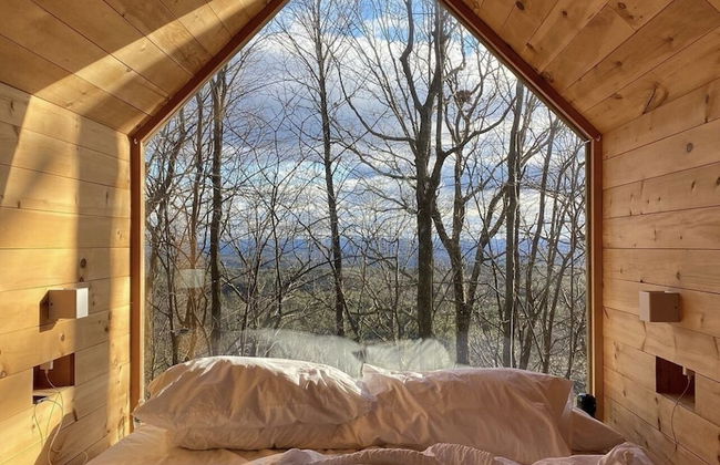 Gather Greene - Foto 4