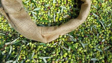 Antonias house - Foto 3