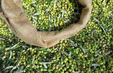 Antonias house - Foto 3