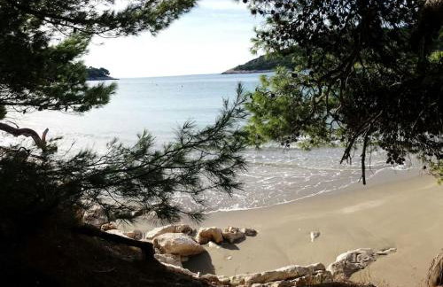 Apartment Kristić - Saplunara, Mljet - Photo 21