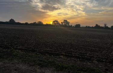 Lavender Cottage - Foto 31