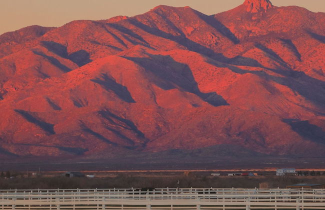 Tirrito Farm - Photo 76