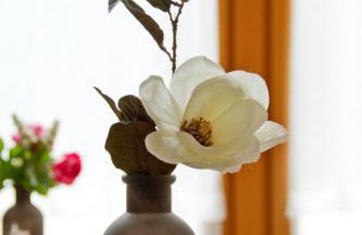 Ferienwohnung Im Bürgermeisterhaus - Foto 11