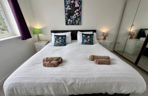 Award Winning Beautiful House in South Cambridge, 14-Min Drive to the City Centre, Free Parking, No Sofabeds, Sleeps 6 - Photo 31