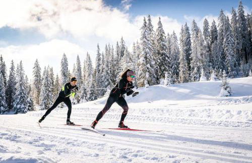 L'Orgelétaine : Grande Maison au milieu des Lacs du Jura - Foto 9
