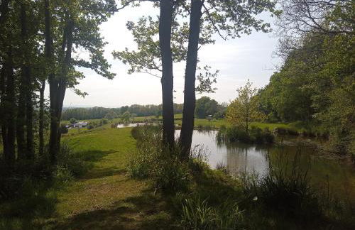 Charming tranquil Shepherds Hut with lakeside balcony 'Roach' - Foto 17