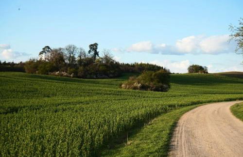 Ferienwohnung Alte Schule Chorin Schorfheide - Foto 17