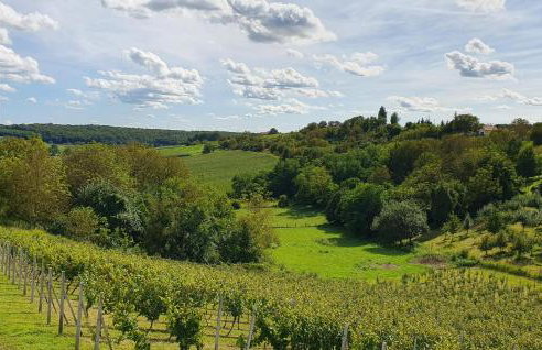 Cozy Home In Maglenca With Sauna - Foto 43