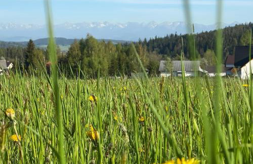 ORAWSKA CHATA domek z balią pod Babią Górą - Foto 57