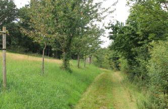 Apfelscheune Cannewitz - Foto 70