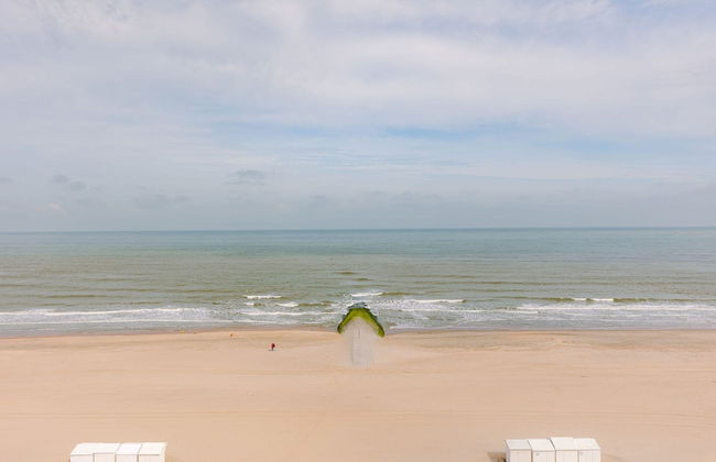 BE DEH Zeed 55-8 in De Haan - Photo 24