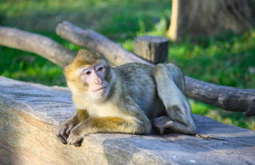 Ferienwohnung K1889 Rheine - Elin - Foto 26