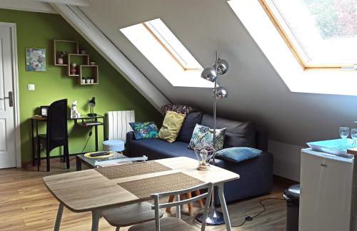 Joli gîte F2 indépendant avec jardin privé - Foto 14