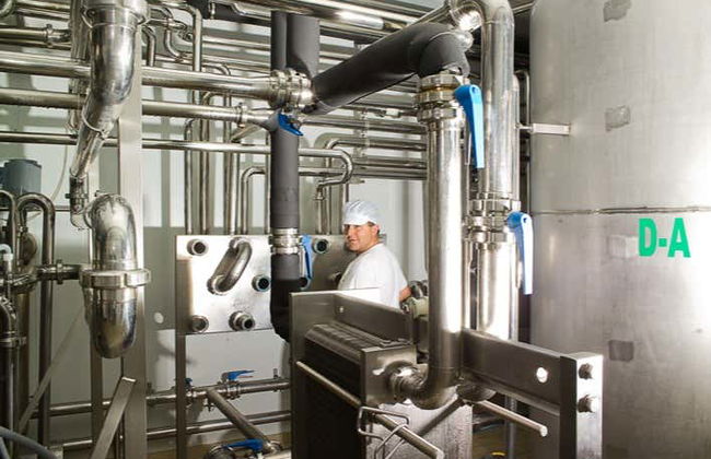 Visit to La Antigua Cheese Factory - Photo 4