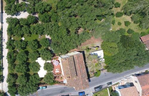 Antico Uliveto - Foto 69