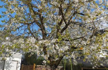 Ferienwohnung Hedi - Foto 16