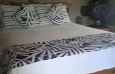 MORADA DOS PÁSSAROS sc - Foto 24