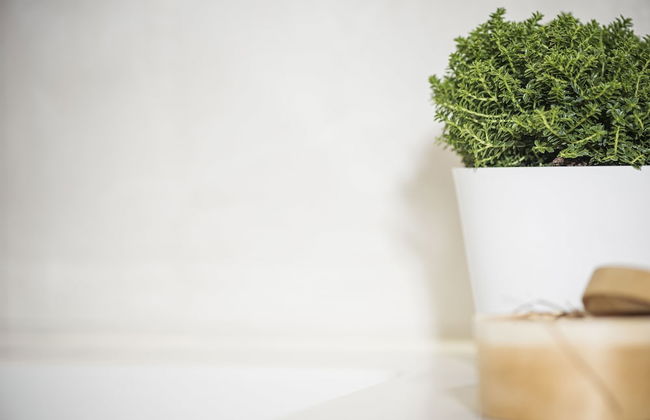 Platzhirsch Apart & Mayrhofen - Foto 44