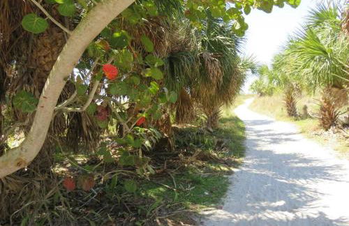 Florida Bella Rosa near IMG Academy & beaches - Foto 56