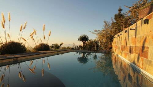 Tiny House Vogelnest - Foto 5