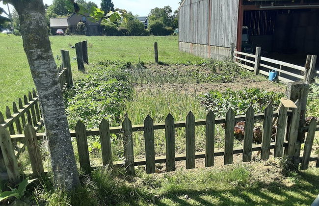 Pretty Farmhouse in Houffalize With Courtyard - Photo 38